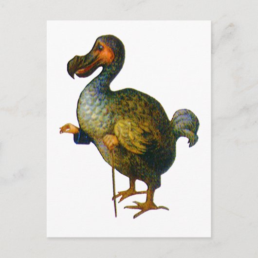 De Dodo Bird Briefkaart (Voorkant)