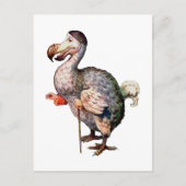 De Dodo Bird Briefkaart (Voorkant)