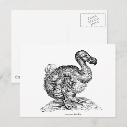 De Dodo Briefkaart (Voorkant / Achterkant)