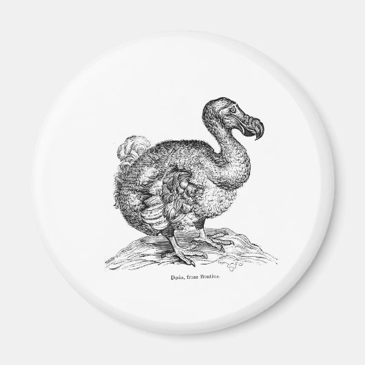 De Dodo Magneet (Voorkant)