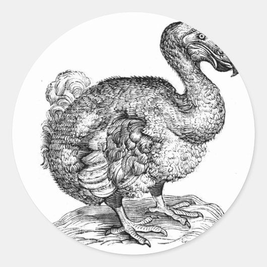 De Dodo Ronde Sticker (Voorkant)