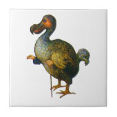 De Dodo-vogel uit Alice in Wonderland Tegeltje (Voorkant)