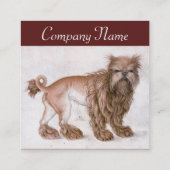 DE DOG/Affenpinscher/Veterinary,Veterinarian Vierkante Visitekaartje (Achterkant)