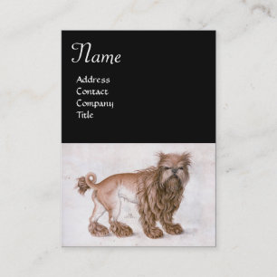 DE DOG/Affenpinscher, zwart wit Visitekaartje