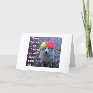 DE DOG IS OPGESLAGEN OM UW "30E" B-DAY TE VERSNELL KAART