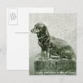 De Dog Jacob Briefkaart (Voorkant / Achterkant)