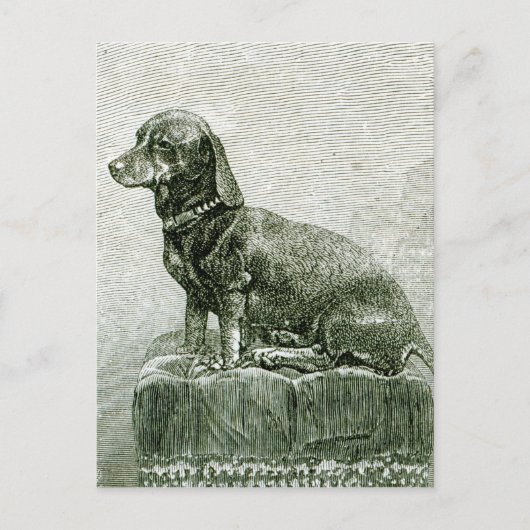 De Dog Jacob Briefkaart (Voorkant)