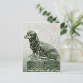 De Dog Jacob Briefkaart (Staand voorkant)