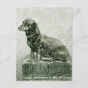 De Dog Jacob Briefkaart