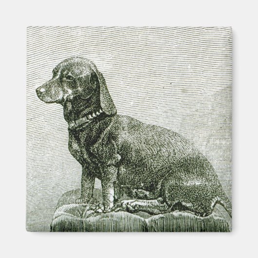 De Dog Jacob Magneet (Voorkant)