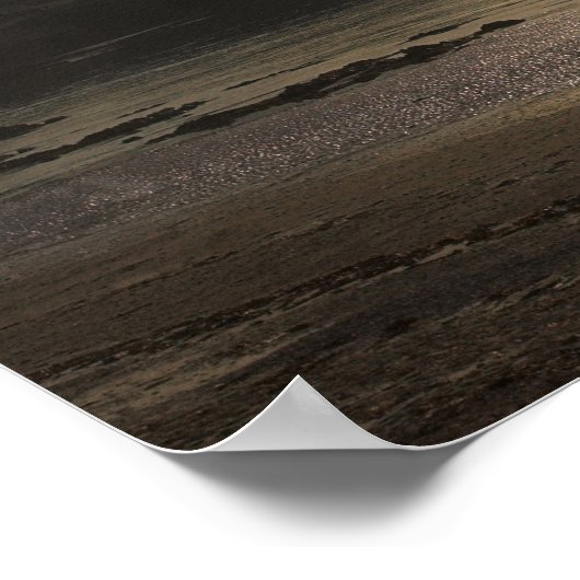 De Dog lopen op Douglas Beach Poster (Hoek)