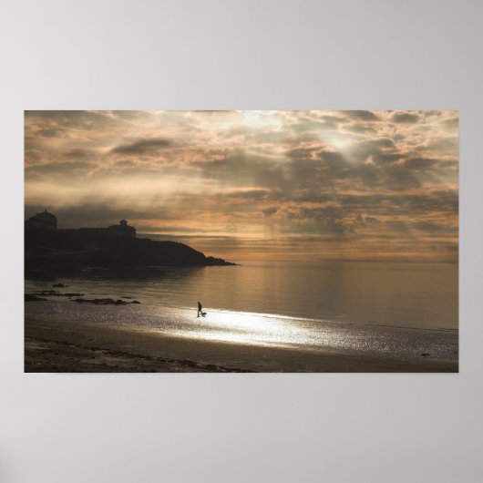 De Dog lopen op Douglas Beach Poster (Voorkant)