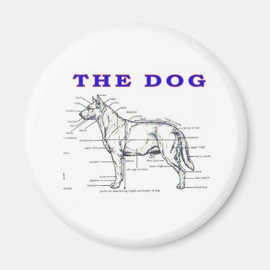 DE DOG MAGNEET (Voorkant)