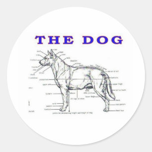 DE DOG RONDE STICKER