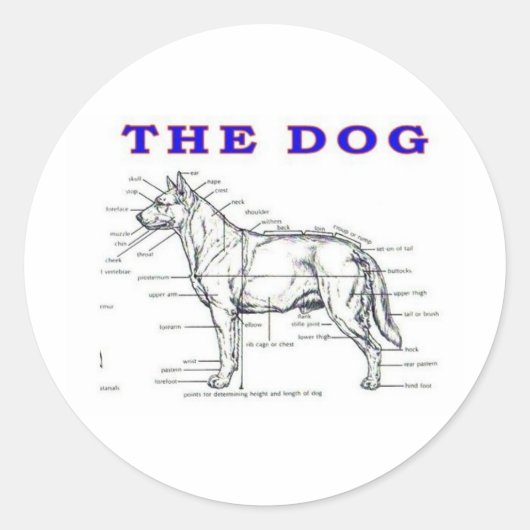 DE DOG RONDE STICKER (Voorkant)