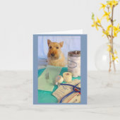 De Dogtor komt zo aan Kaart (Gele Bloem)