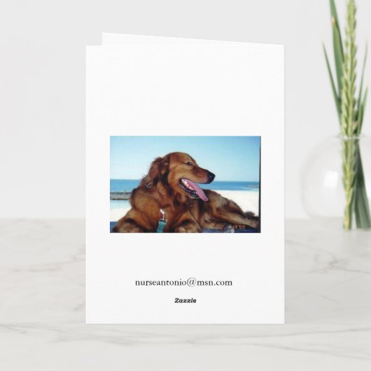 De dokter is in... kaart (Achterkant)