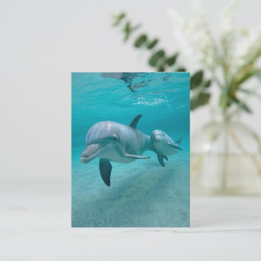 DE DOLFIJN VAN DE MOEDER EN VAN HET KALF VAN HET BRIEFKAART (Staand voorkant)