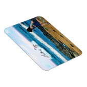 De Dolfijnen bekijken Magneet (Rechterzijde)