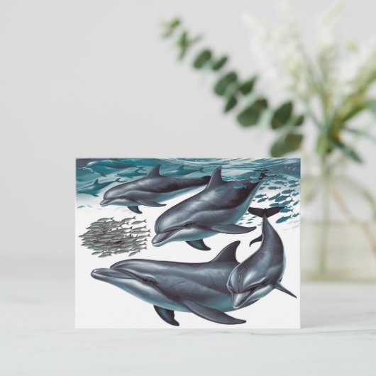 De dolfijnen briefkaart (Staand voorkant)