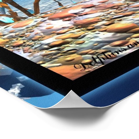 De dolfijnen en de schatkist poster (Hoek)