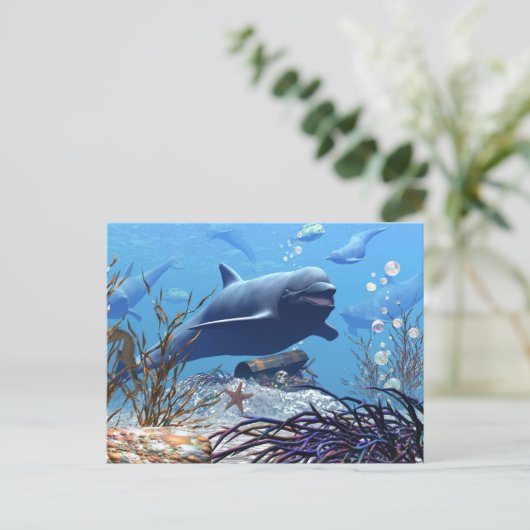 De dolfijnen en het Briefkaart van de schatkist (Staand voorkant)