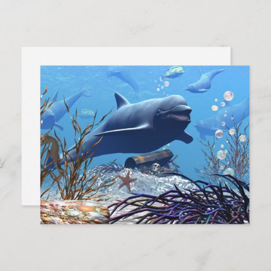 De dolfijnen en het Briefkaart van de schatkist (Voorkant / Achterkant)