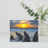 De dolfijnen zonder fles in zonlicht briefkaart (Staand voorkant)