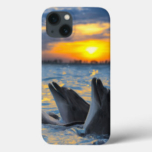 De dolfijnen zonder fles in zonlicht iPhone 13 hoesje