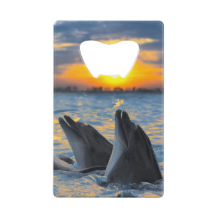 De dolfijnen zonder fles in zonlicht creditkaart flessenopener