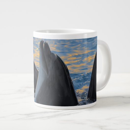 De dolfijnen zonder fles in zonlicht grote koffiekop (Voorkant rechts)