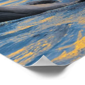 De dolfijnen zonder fles in zonlicht poster (Hoek)