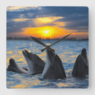 De dolfijnen zonder fles in zonlicht vierkante klok