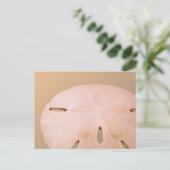 De Dollar van het zand Briefkaart (Staand voorkant)