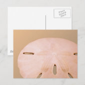 De Dollar van het zand Briefkaart (Voorkant / Achterkant)