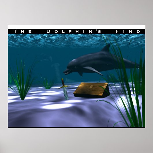 De Dolphin's Find Poster (Voorkant)