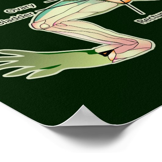 De donkere afbeelding van de anatomie van de kikke poster (Hoek)