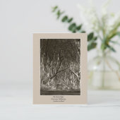 De donkere haarden, het tranocum, het geld in brie briefkaart (Staand voorkant)