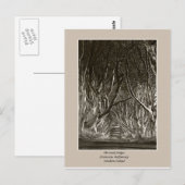 De donkere haarden, het tranocum, het geld in brie briefkaart (Voorkant / Achterkant)