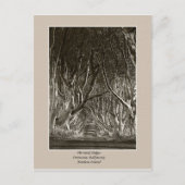 De donkere haarden, het tranocum, het geld in brie briefkaart (Voorkant)