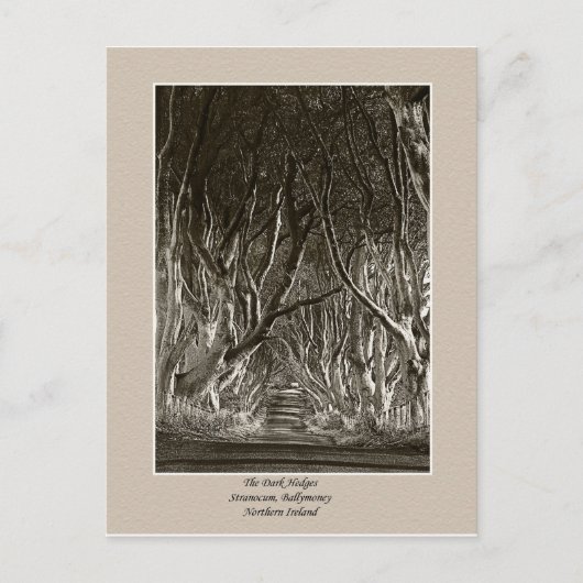 De donkere haarden, het tranocum, het geld in brie briefkaart (Voorkant)