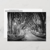 De donkere randen in zwart-wit briefkaart (Voorkant / Achterkant)