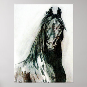 De donkere schoonheid poster