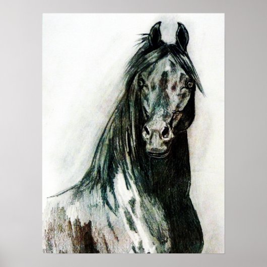 De donkere schoonheid poster (Voorkant)