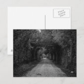 De donkere weg briefkaart (Voorkant / Achterkant)