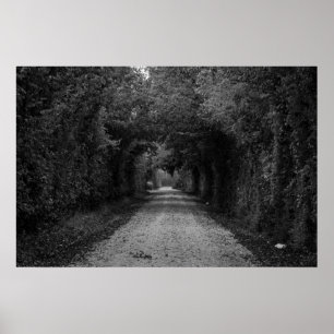 De donkere weg poster