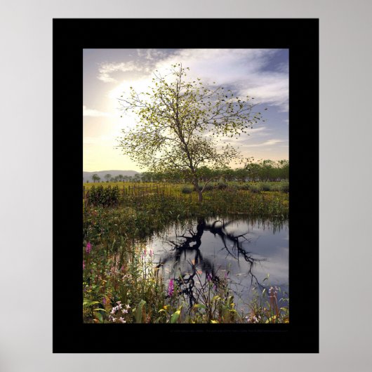 De donkere zijde - Le côté obscur Poster (Voorkant)