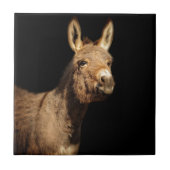 De Donkey Tegeltje (Voorkant)