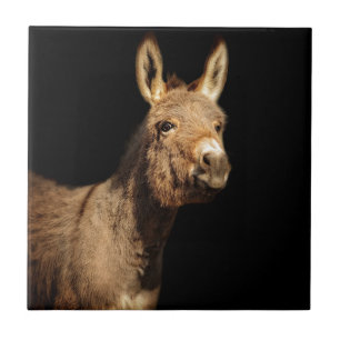 De Donkey Tegeltje