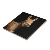 De Donkey Tegeltje (Zijkant)